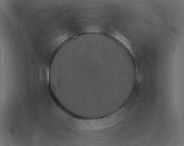 X0000116610013200912241742