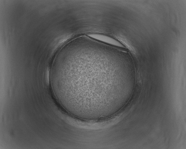 X0000116610014200912241742