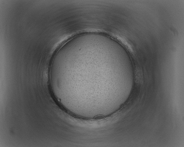 X0000116610015200912241742