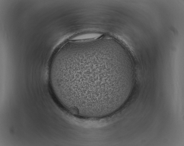 X0000116610016200912241742