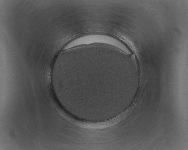 X0000116610017200912241742