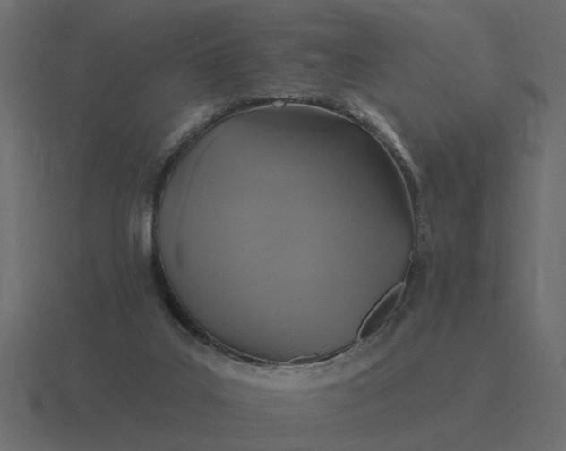 X0000116610019200912241742