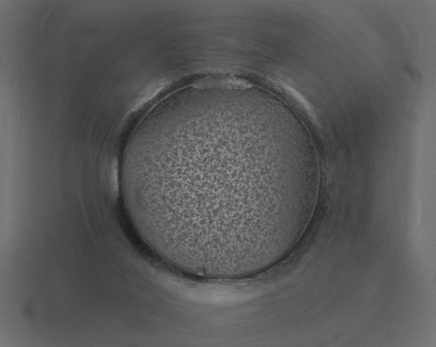 X0000116610020200912241742