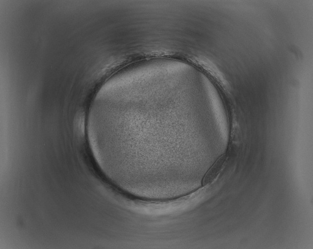 X0000116610021200912241742