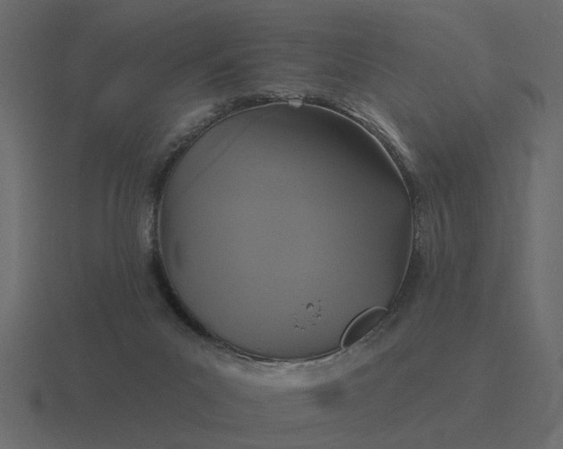 X0000116610023200912241742