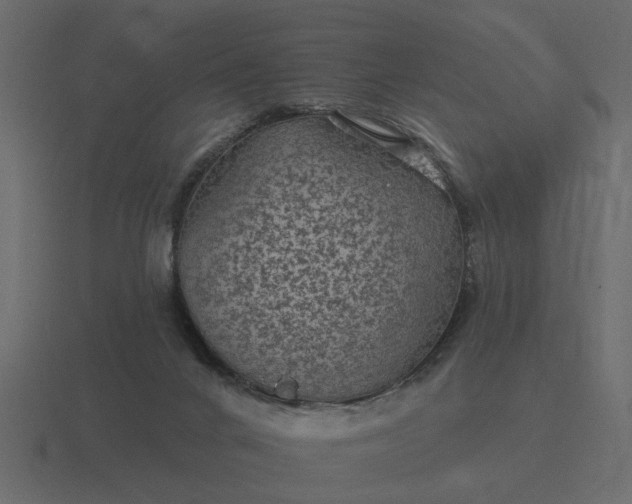 X0000116610024200912241742