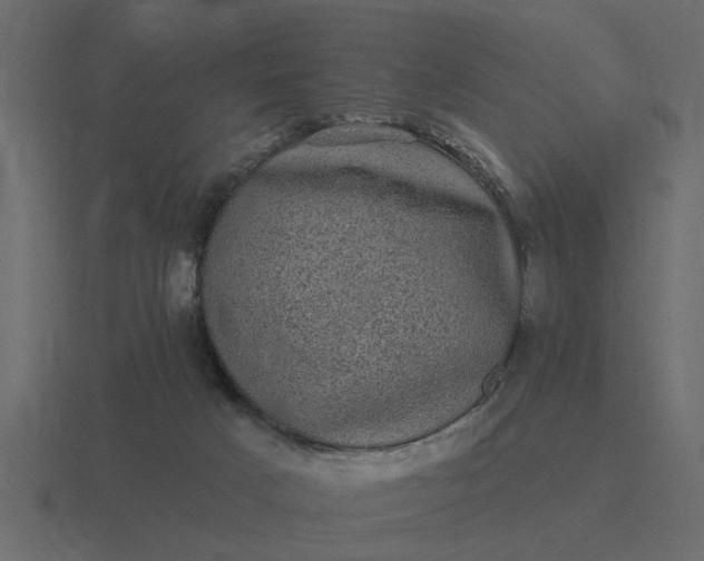 X0000116610025200912241742