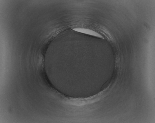 X0000116610029200912241742