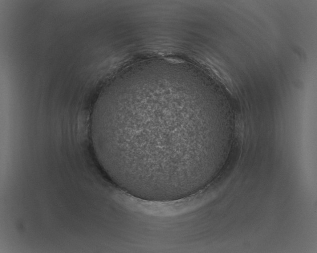 X0000116610030200912241742