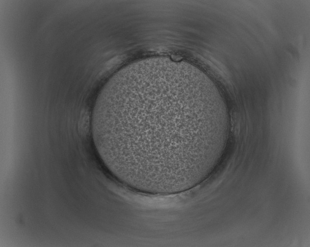 X0000116610036200912241742