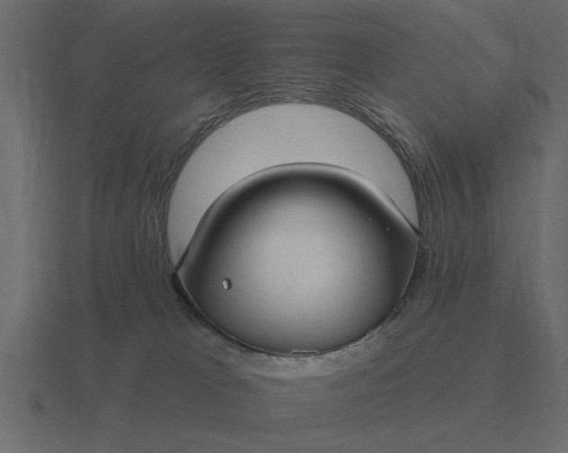 X0000116610037200912241742