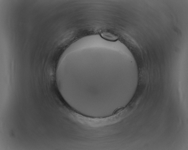 X0000116610039200912241742