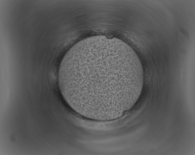 X0000116610040200912241742