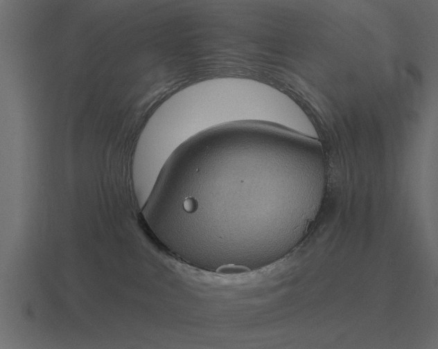 X0000116610043200912241742