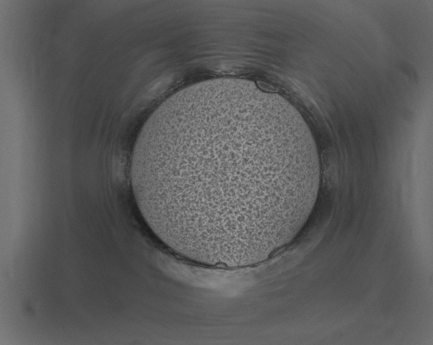 X0000116610044200912241742