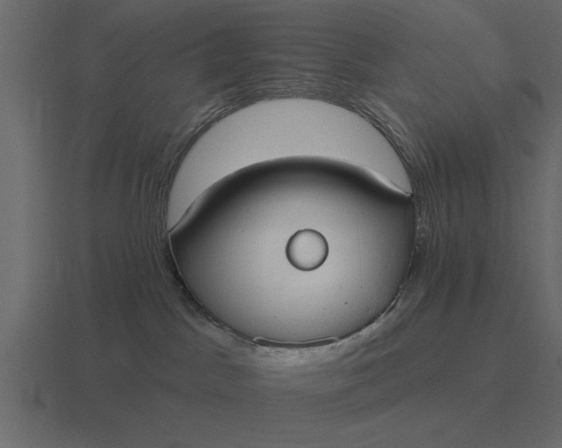 X0000116610045200912241742