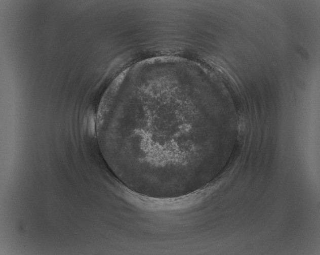 X0000116610046200912241742