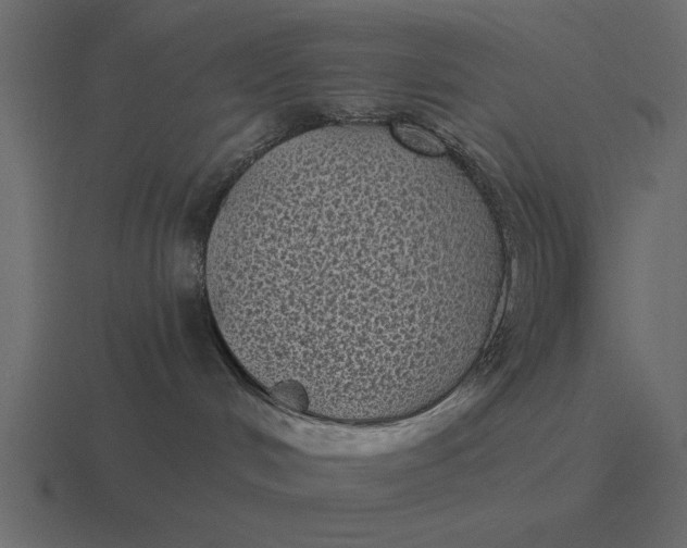 X0000116610048200912241742