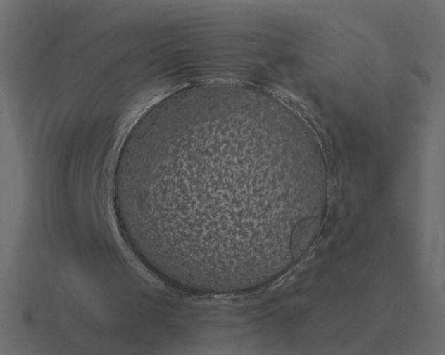 X0000116610049200912241741