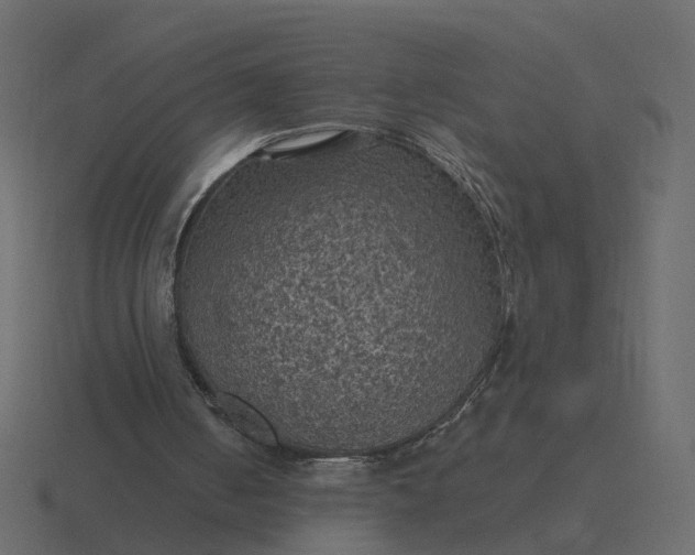 X0000116610050200912241741