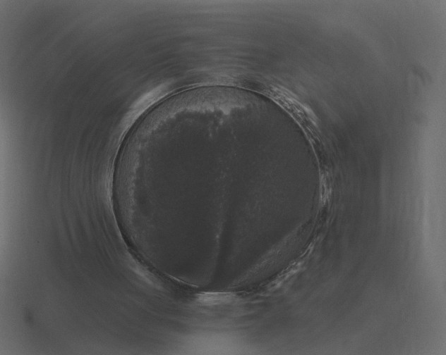 X0000116610051200912241741