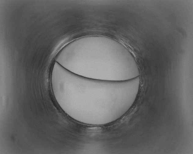 X0000116610053200912241741