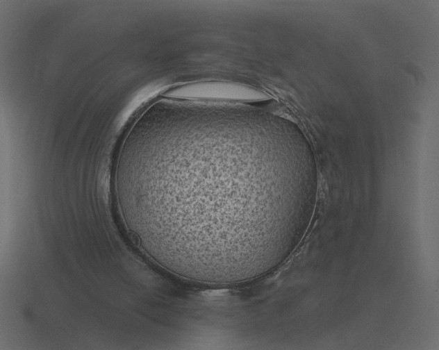 X0000116610054200912241741