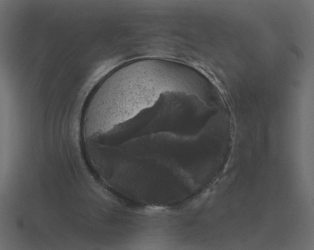 X0000116610055200912241741