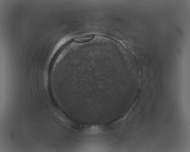 X0000116610056200912241741