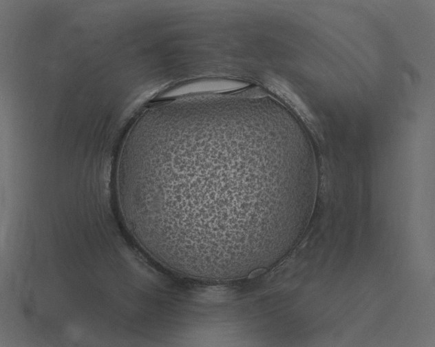 X0000116610058200912241741