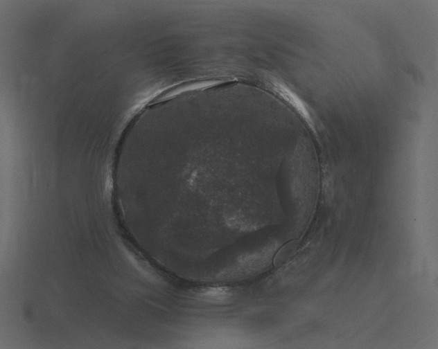 X0000116610059200912241741