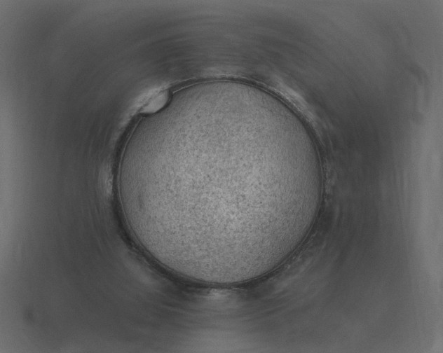 X0000116610060200912241741