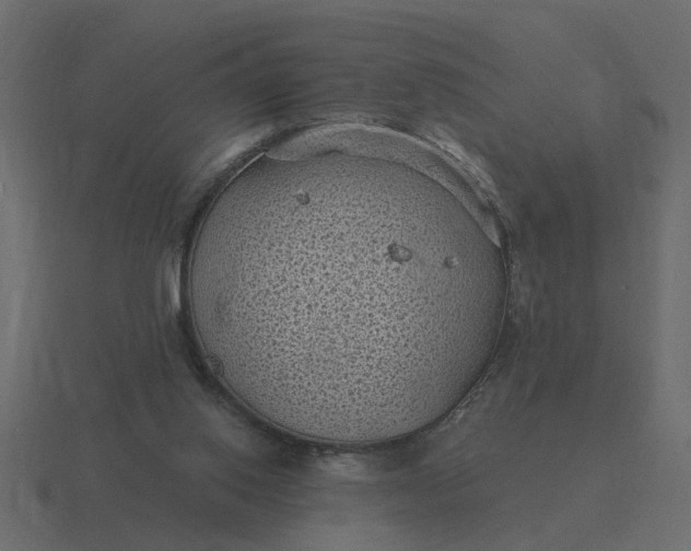 X0000116610062200912241741