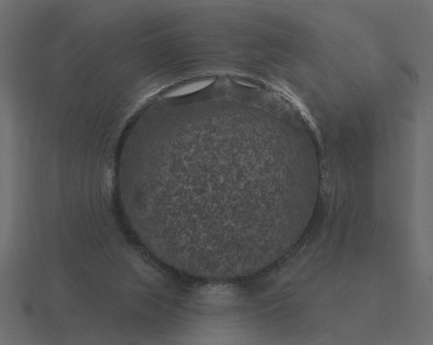 X0000116610063200912241741