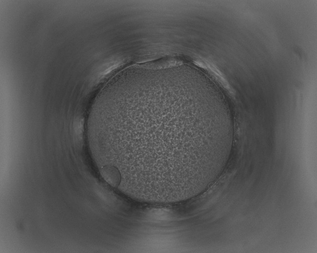 X0000116610066200912241741