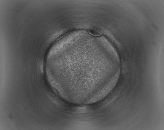 X0000116610068200912241741