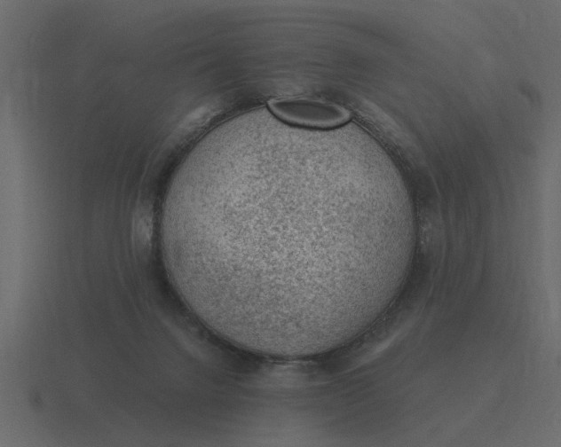 X0000116610072200912241741