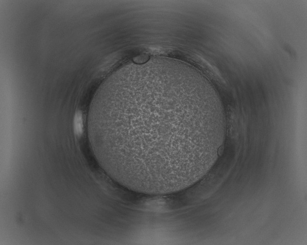 X0000116610075200912241741