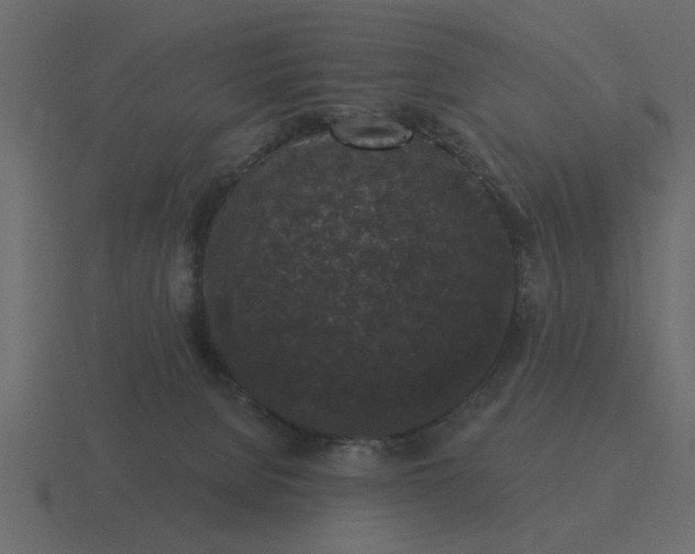 X0000116610080200912241741