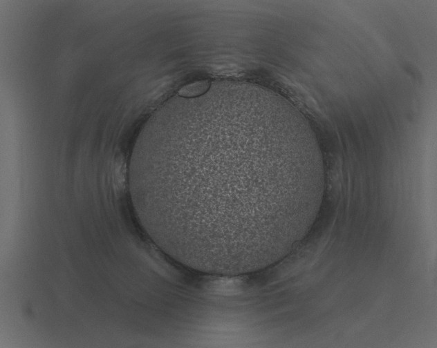 X0000116610081200912241741