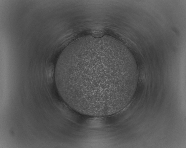 X0000116610082200912241741