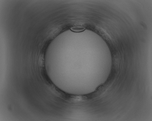 X0000116610083200912241741