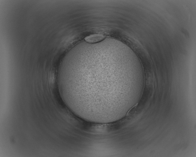 X0000116610084200912241741