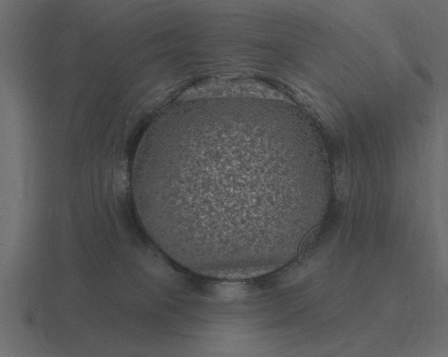 X0000116610085200912241741