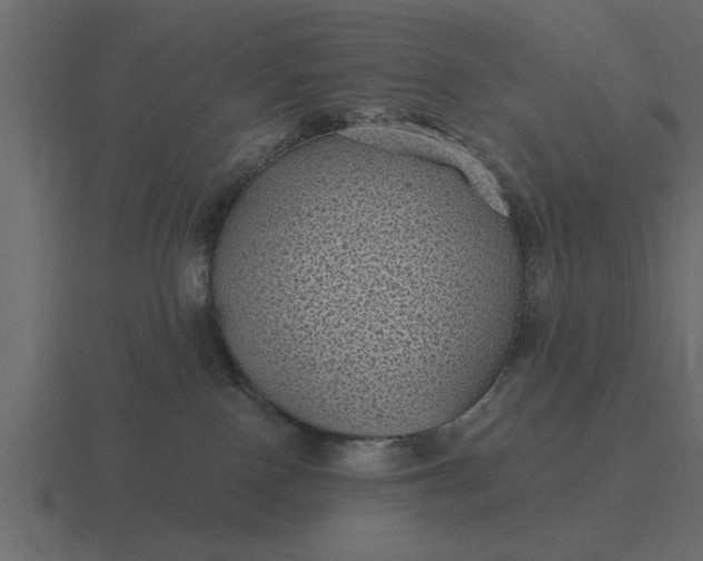 X0000116610090200912241741