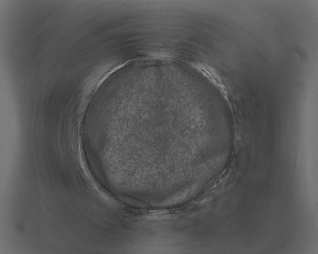 X0000116610097200912241741