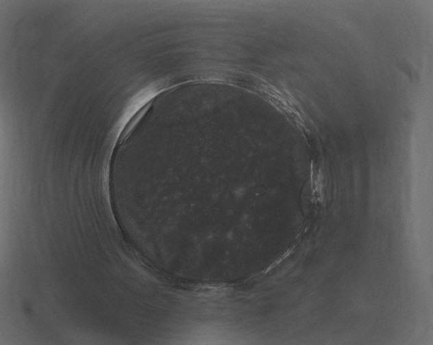 X0000116610099200912241741