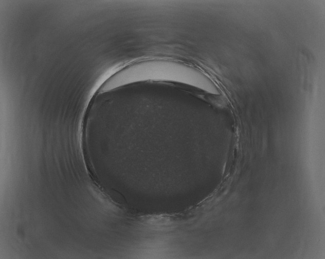 X0000116610100200912241741