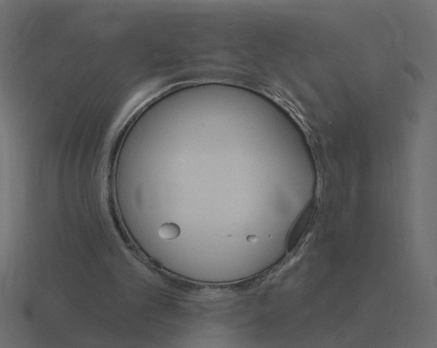 X0000116610101200912241741