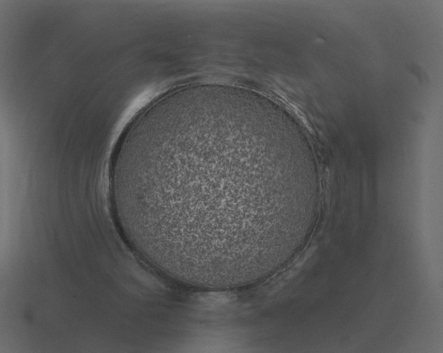 X0000116610102200912241741